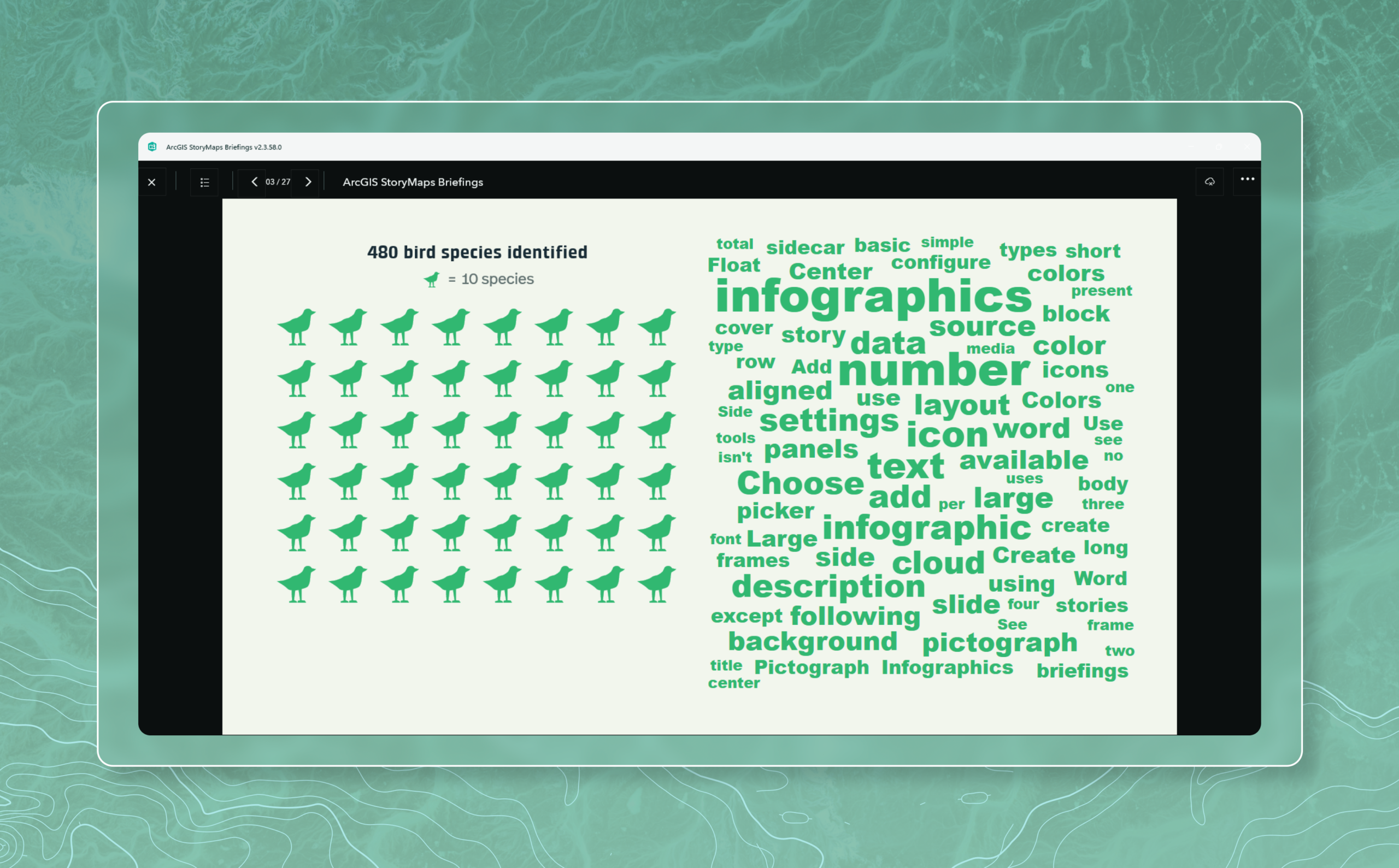 Example of the pictograph and word cloud infographics
