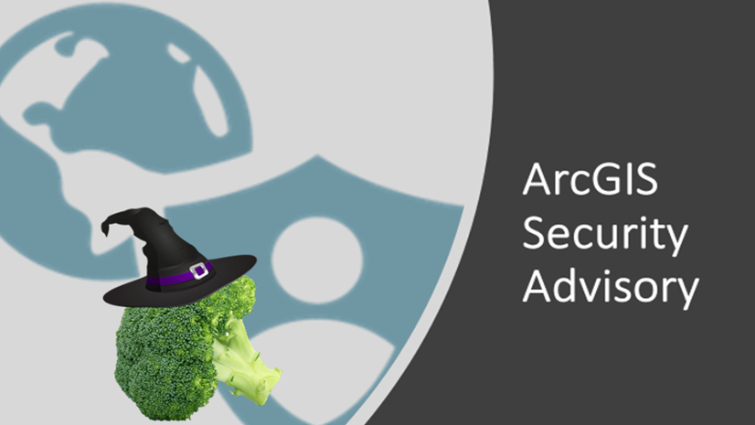 ArcGIS Blog - Brotli Decoder Vulnerabilities (Node2Shell, Broccoli2Shell, HTTP2Shell)