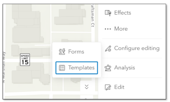 Configure templates on the view without affecting the source layer.