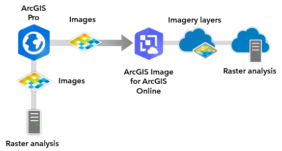 ArcGIS Image added to ArcGIS Pro