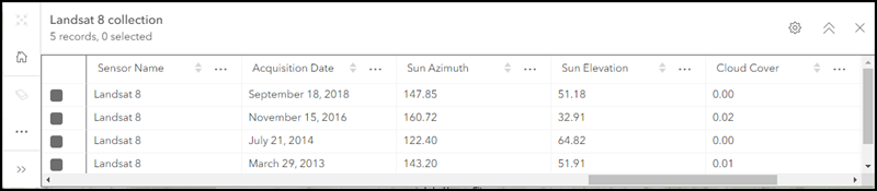 Dynamic image collection attribute table in map viewer.