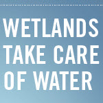 World Wetlands Day: Feb. 2, 2013