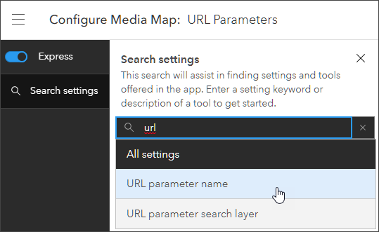 Custom URL parameter