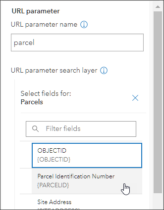 Custom URL parameter