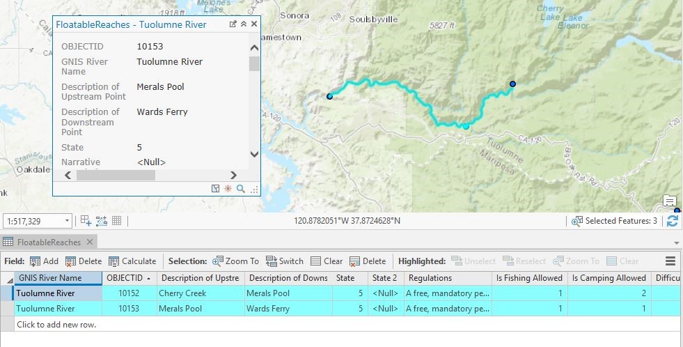 ArcGIS Pro back-end data view