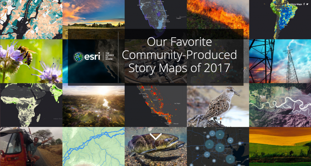 Community-produced story collage