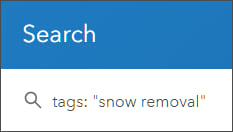 Search using tags