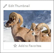 Photo thumbnail Photo thumbnail