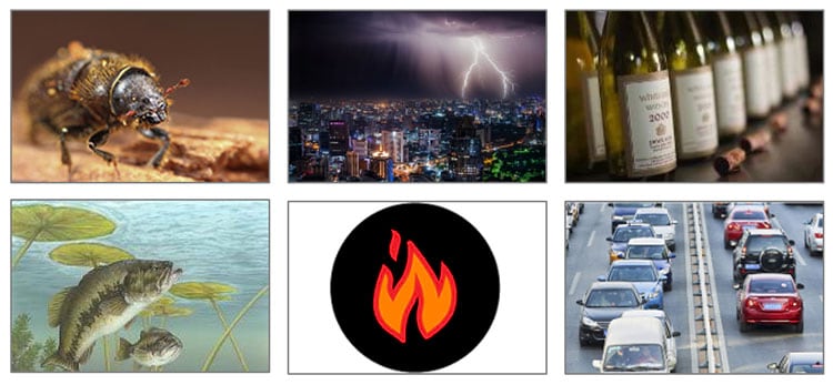 Content hint thumbnails Content hint thumbnails