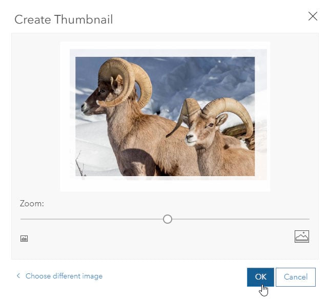 Add a custom image thumbnail