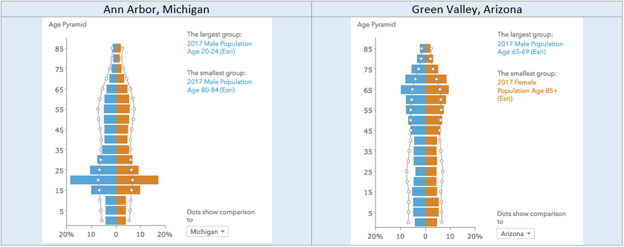 Age Pyramid Chart