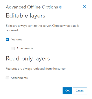 Advanced Offline Options set for no attachments