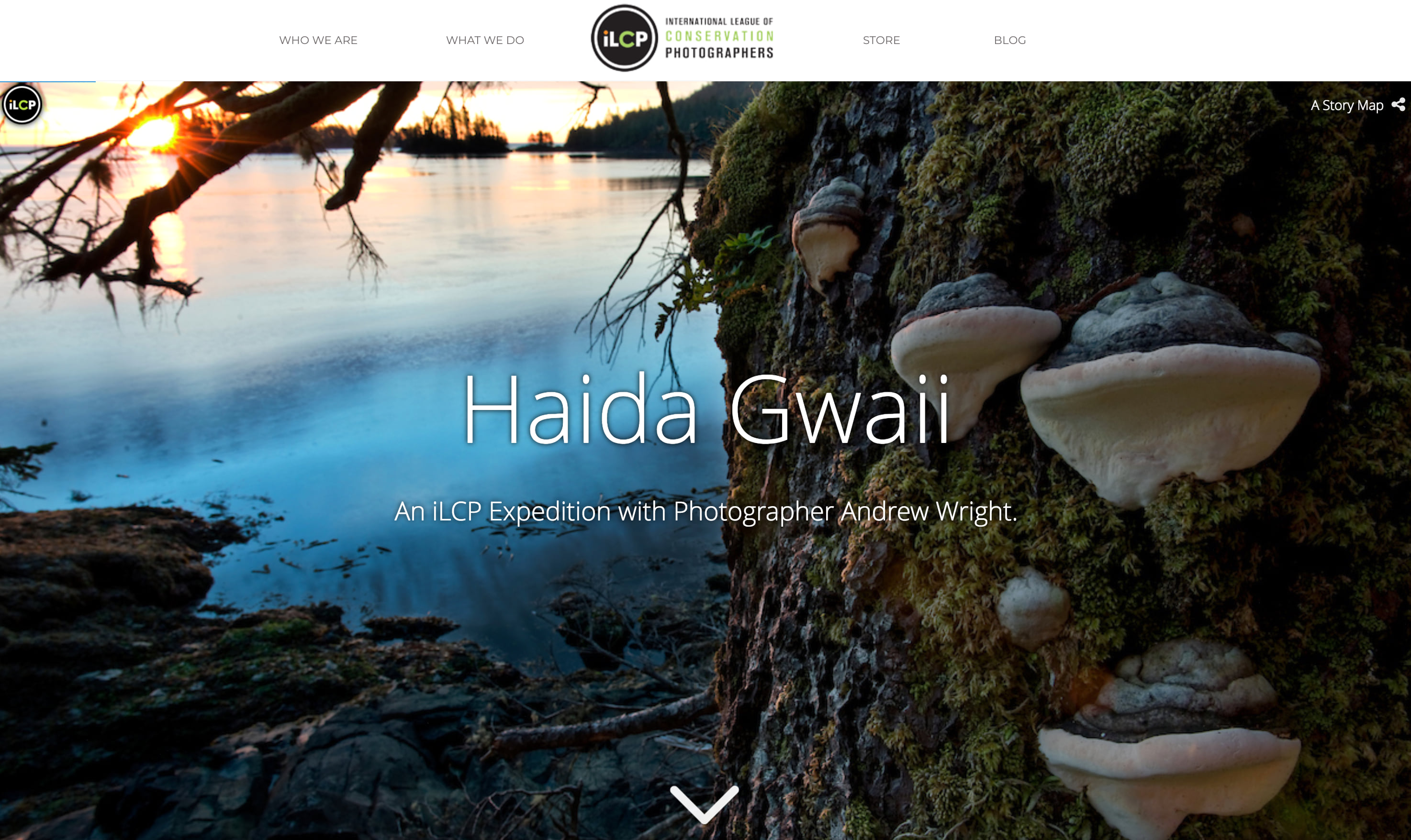 Screenshot of Haida Gwaii: An iLCP Expedition with Photographer Andrew Wright.