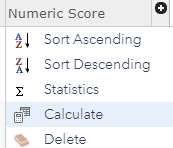 Location of the Calculate option when clicking on the field heading.