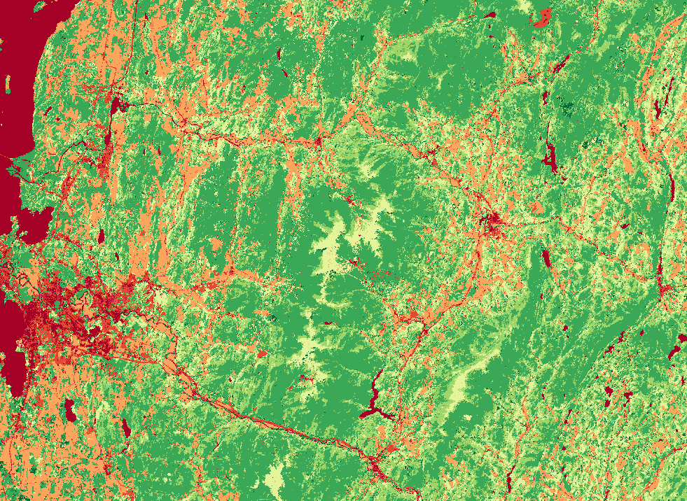 Reclassified land cover layer