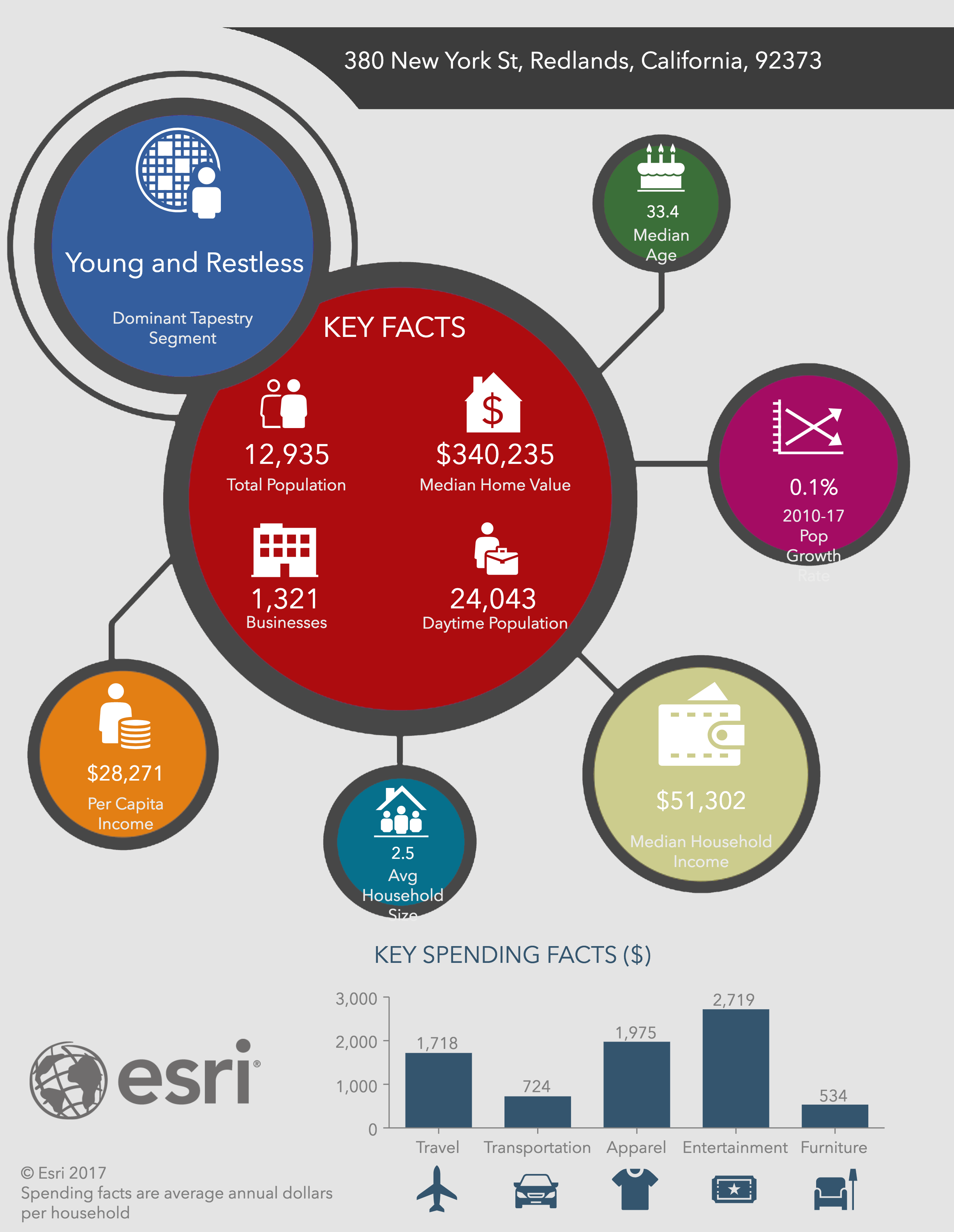 Use Business Analyst Infographics in Your Custom Applications