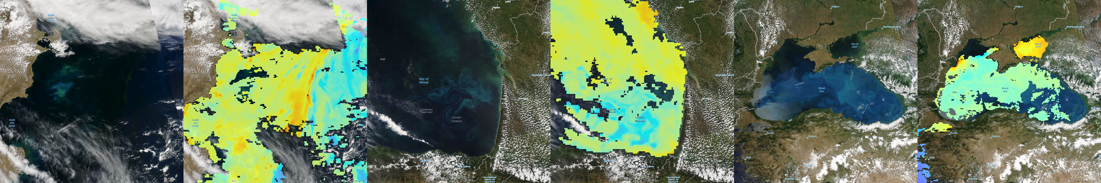 Chlorophyll, MODIS, Plankton, Living Atlas