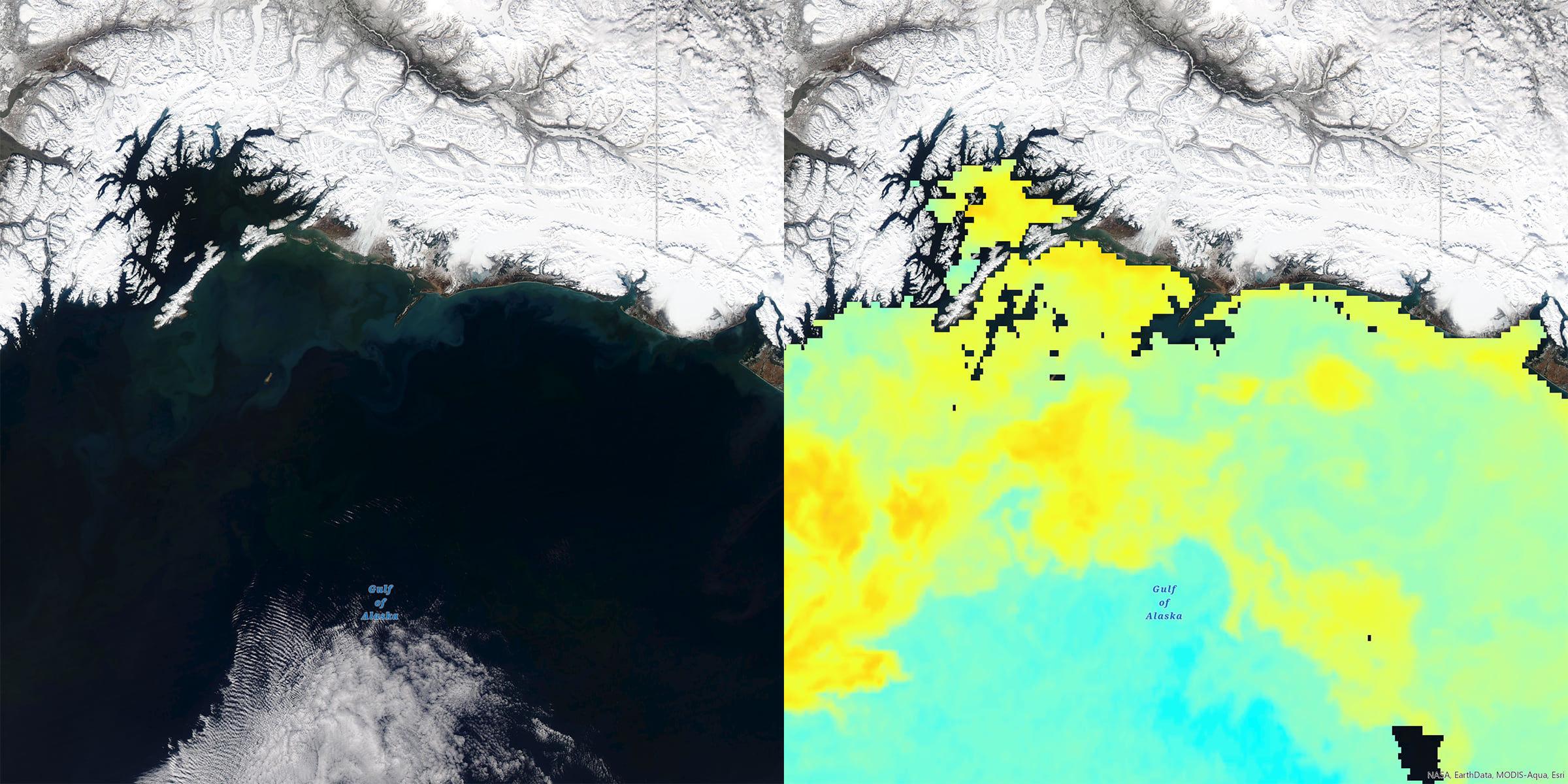 http://Chlorophyll,%20Phytoplankton%20Bloom,%20Gulf%20of%20Alaska