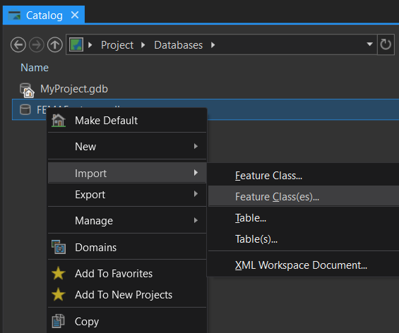 ArcGIS Pro menu for importing features into a file geodatabase