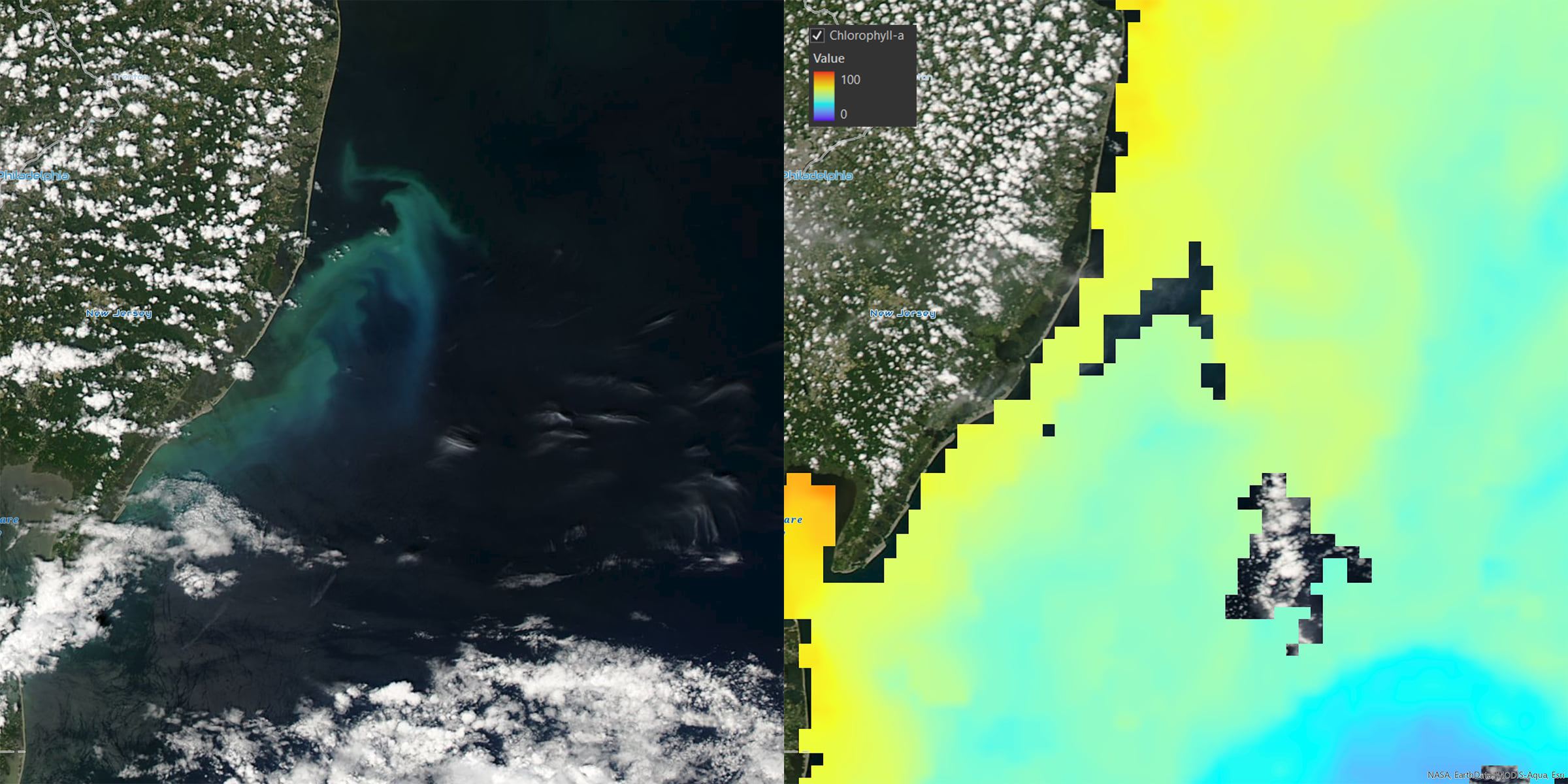 Chlorophyll, MODIS, Plankton, Living Atlas