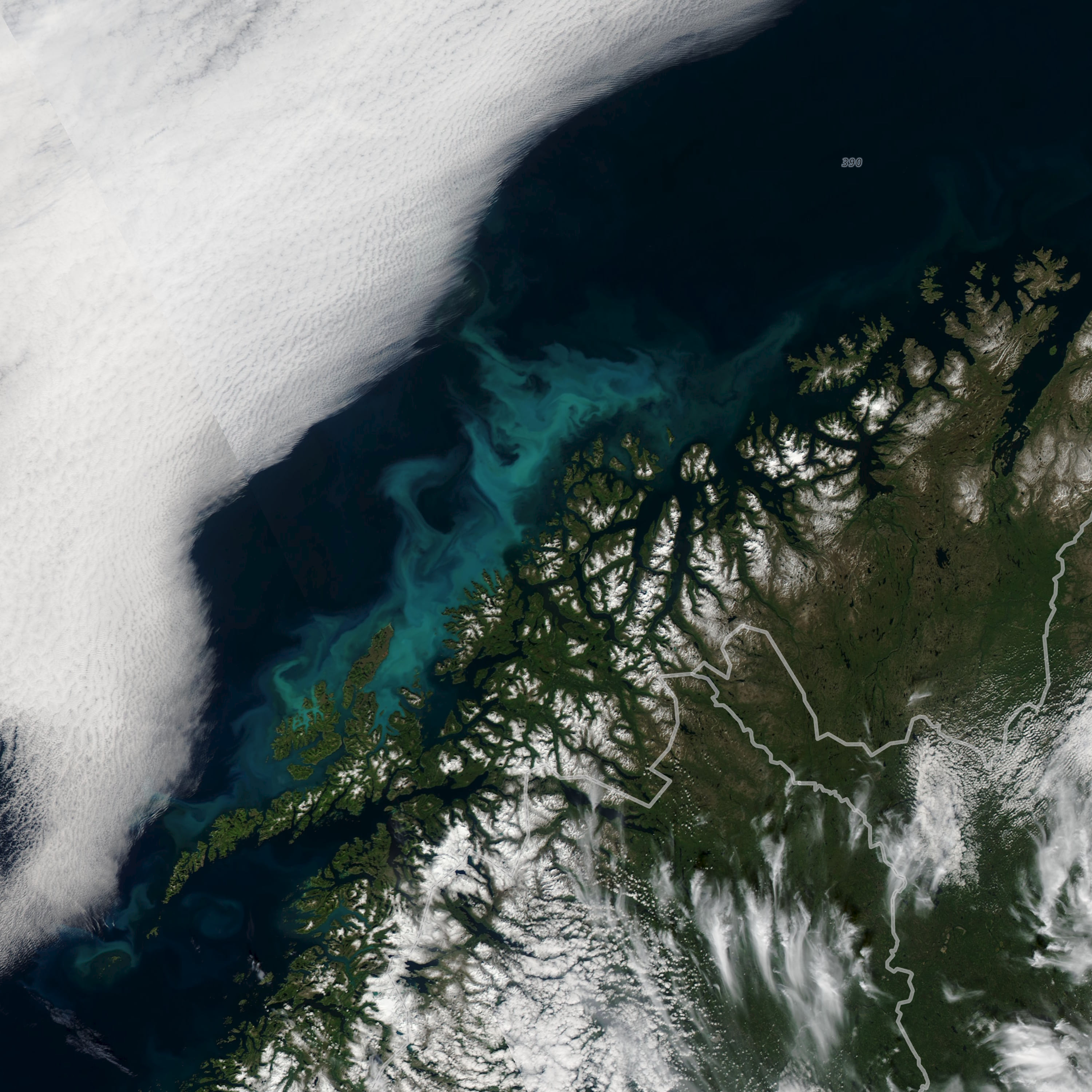 http://Phytoplankton,%20Chlorophyll,%20MODIS,%20North%20Sea,%20Norway