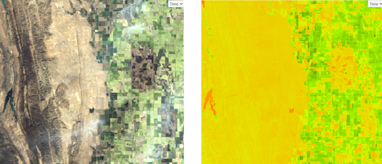 True color on left and Normalized Vegetation Index on the right