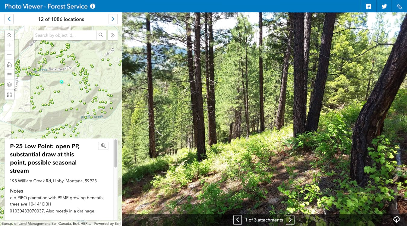 ArcGIS Online Attachment Viewer