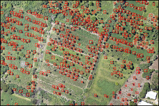 Deep Learning Tools in ArcGIS Pro 2.3 Deep Learning Tools in ArcGIS Pro 2.3
