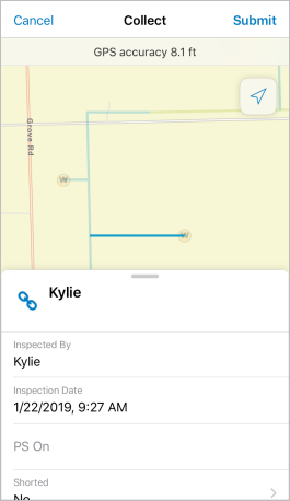 Populated inspection form Populated inspection form