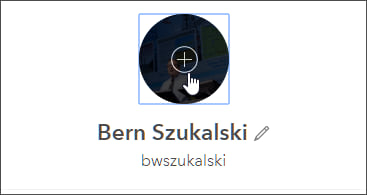 Set profile avatar