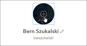 Set profile avatar Set profile avatar