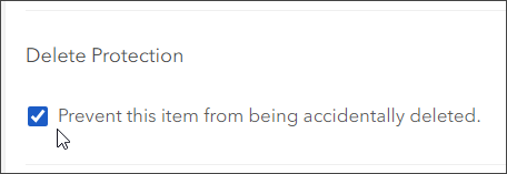 Delete protection Delete protection