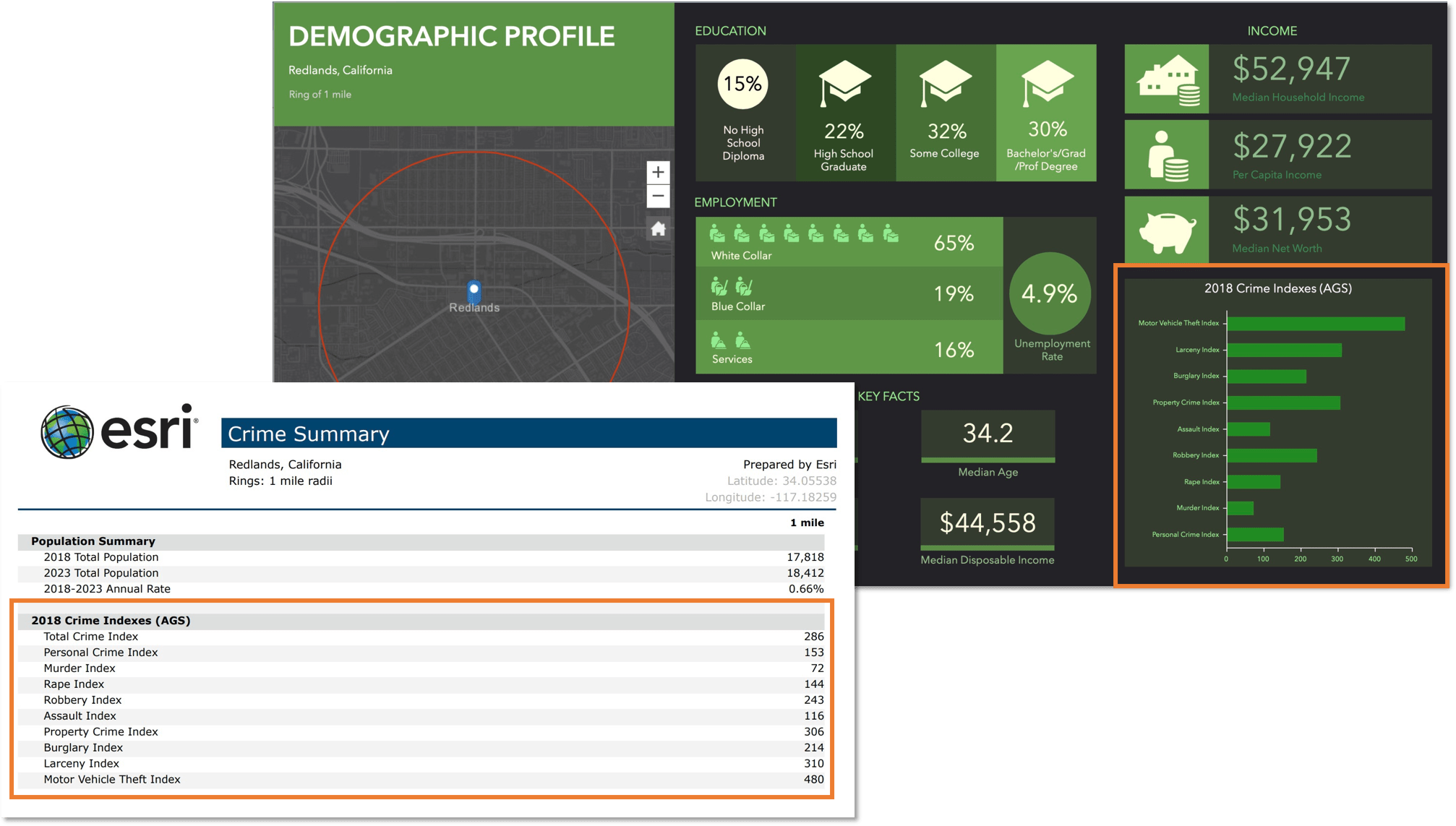 An infographic and custom report with crime data as a highlighted variable.