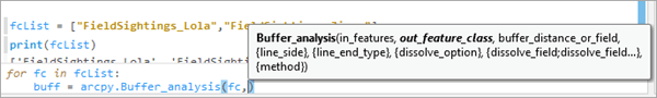 Screentip for buffer parameters.