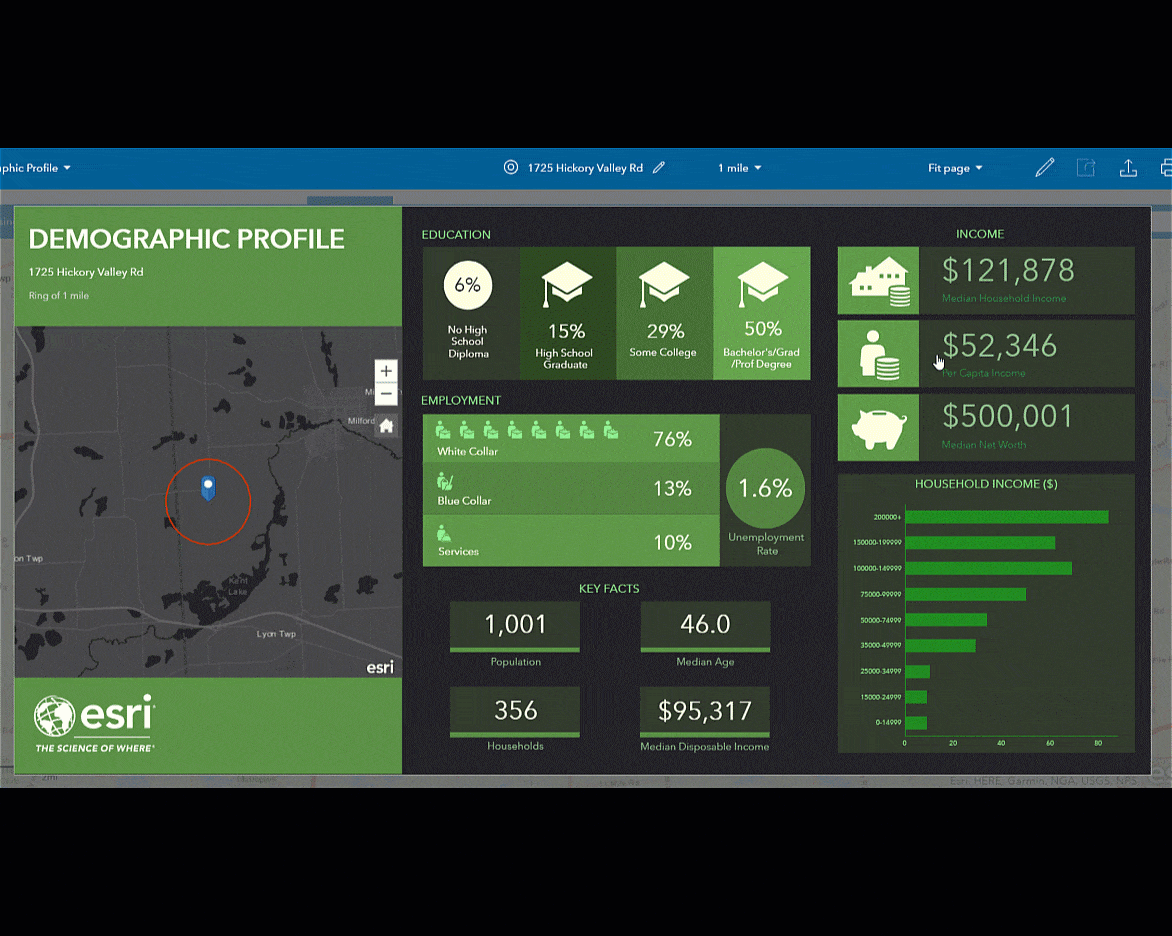 Demographic Profile infographic Demographic Profile infographic