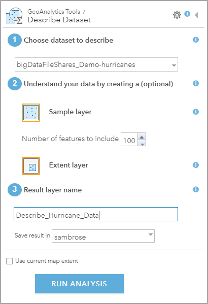 GeoAnalytics tool user interface for Describe Dataset