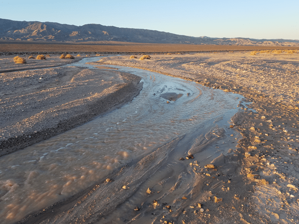 Photo of the Amargosa River Photo of the Amargosa River