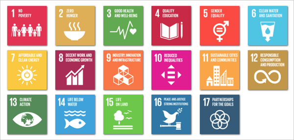 The 17 Sustainable Development Goals