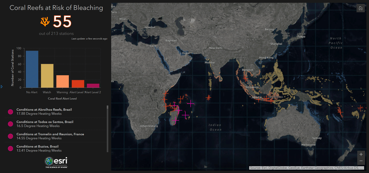 coral reef bleaching dashboard