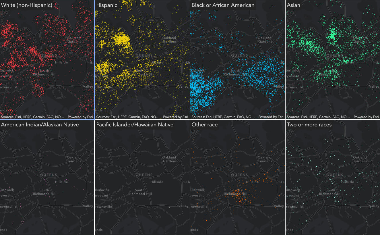 Population density by race. Each category is visualized in a different view.