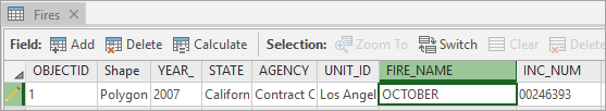 Editing in an attribute table