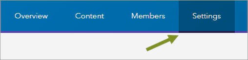 Settings tab on a group Settings tab on a group