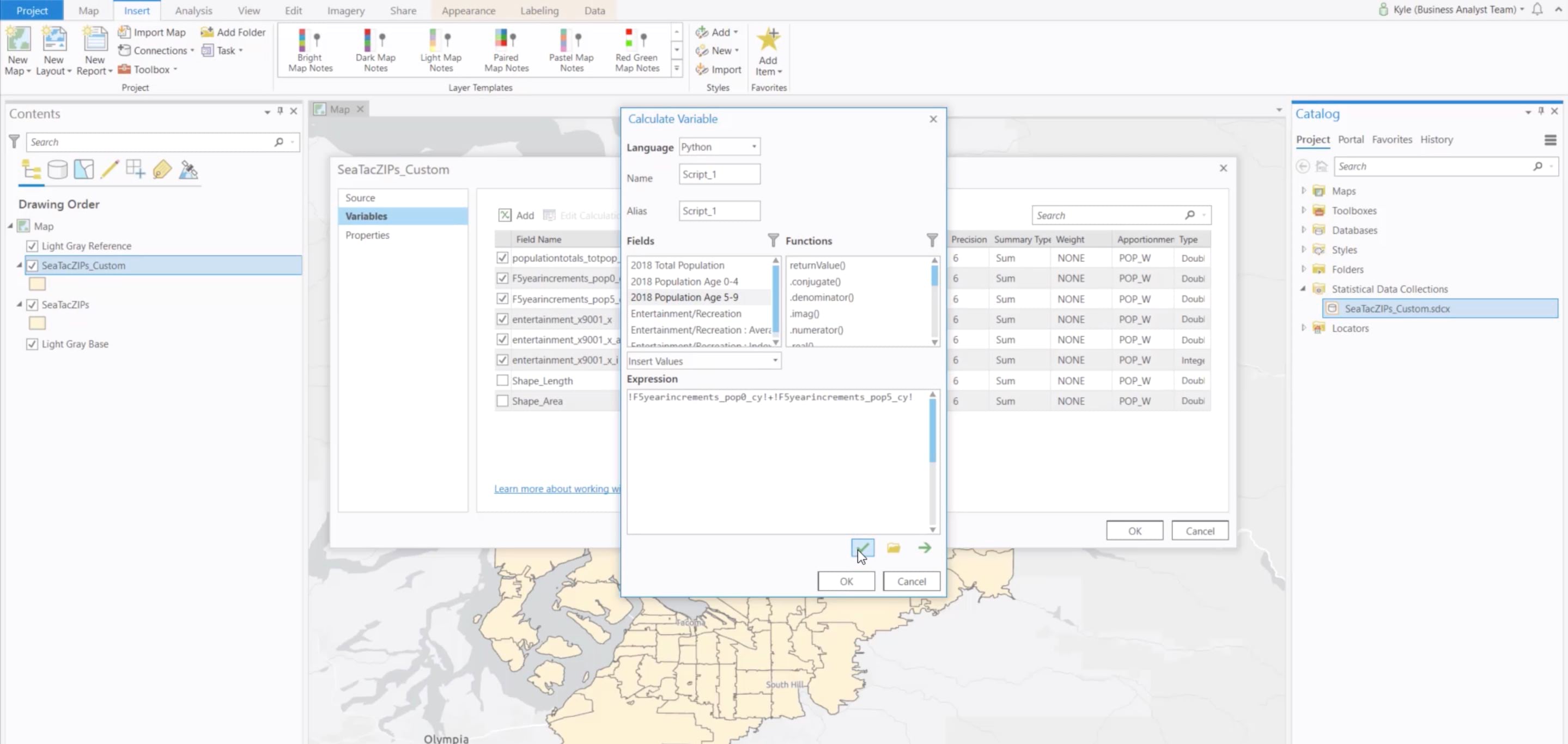 Window in ArcGIS Pro showing custom data options.