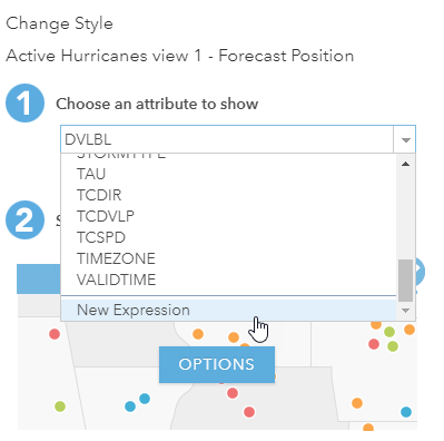 Change Style window in ArcGIS Online.