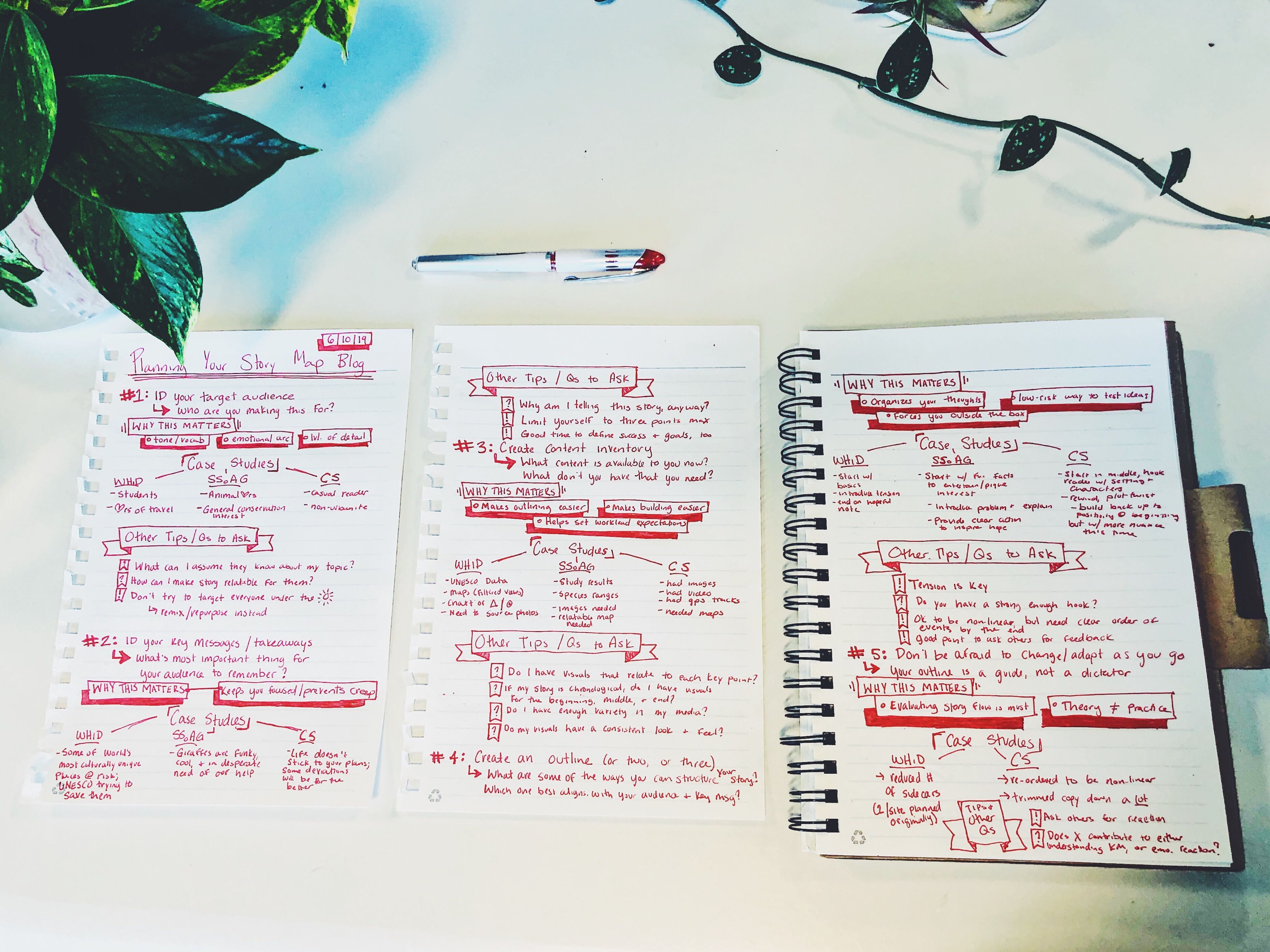 My outline for this blog: Three pieces of notebook paper with headings for each blog section and the repeated subsection within each, plus bullet point of what I wanted to say for each part