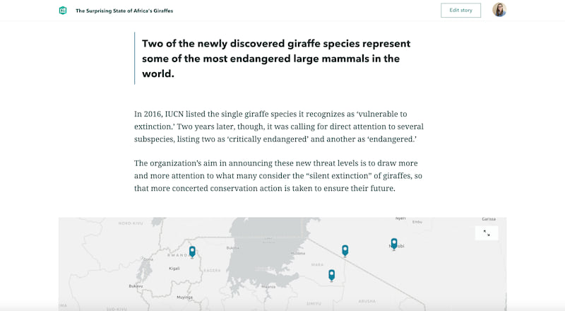 An excerpt from our giraffe story showing a quote drawing attention to the need for conservation intervention An excerpt from our giraffe story showing a quote drawing attention to the need for conservation intervention