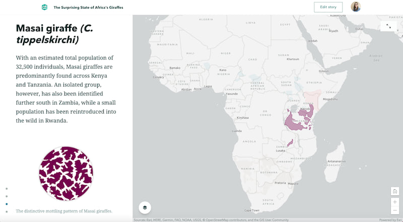 A sidecar block in The Surprising State of Africa's Giraffes, with narrative text and a graphic of giraffe coat patterns on the left, and a map of their range in Africa on the right