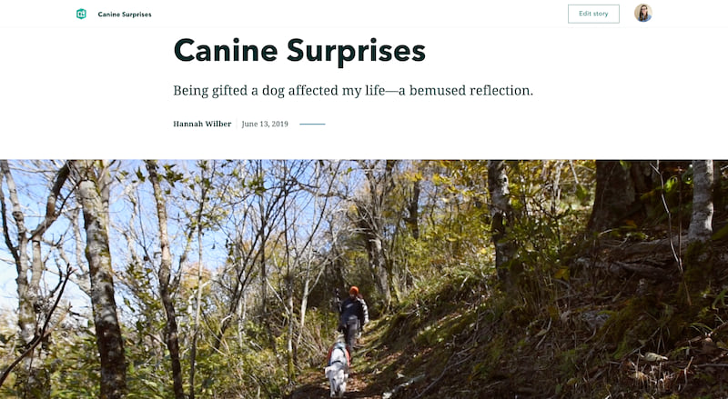 The cover of Canine Surprises, showing a minimal cover and fullscreen video with a dog and two hikers