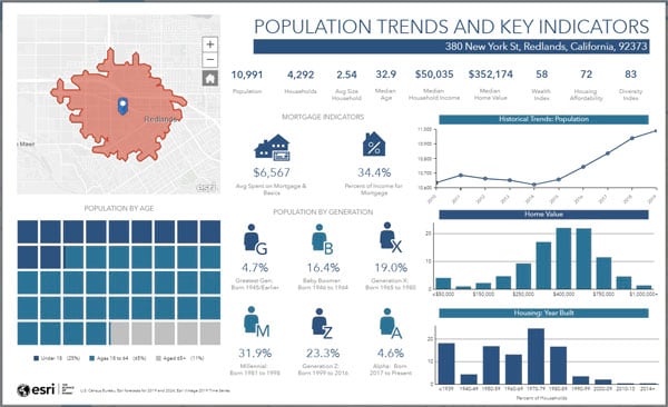 Business Analyst Web App