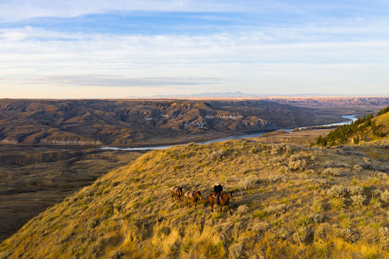 A sweeping view of the American Prairie Reserve during golden hour, with a lone equestrian leading three horses